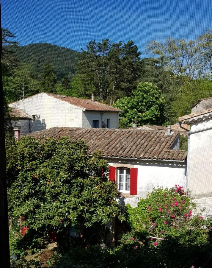 Vista Cevenol: Appartement 2 Chambres Saint-Jean-du-Gard Zewnętrze zdjęcie
